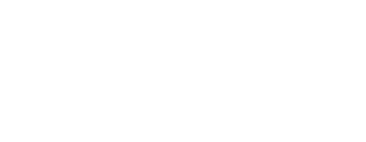 Boost Mobile